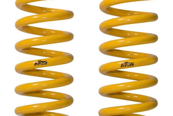 Kings rear coil springs