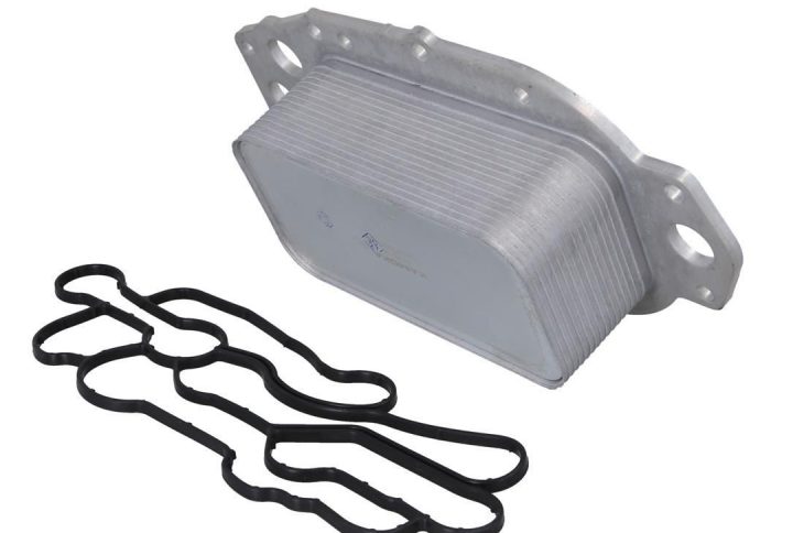 KAMOKA 7730167 e1775052121723